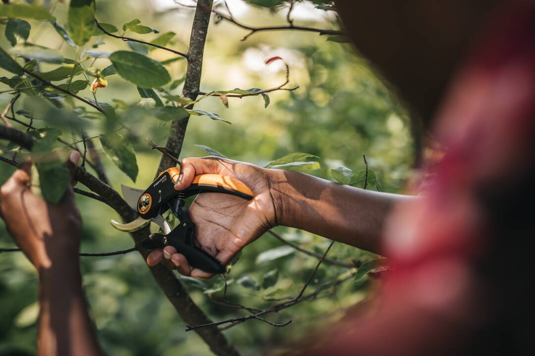 Sekator jednoręczny Fiskars P721 Plus